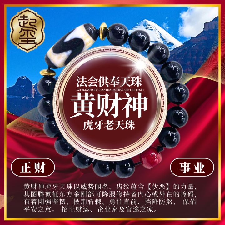 虎牙 天 珠 功效 116 天珠 上肯 双虎牙天珠 龍紋 希少 dzibeads 116 天珠