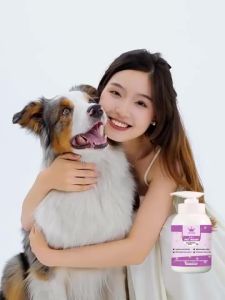 Shampoo Anti Itch Cat Shampoo Dog Shampoo Shiny Coat Syampu Kucing  Grooming