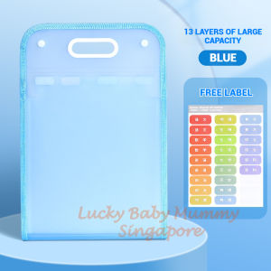 A4 File Organizer Bag / Portable File Folder / Office Documents Storage / Paper Organizer/Rainbowculture