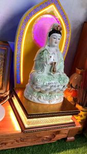 Hào Quang đế Mika - Lưng tựa sen trúc chỉ. Size 10