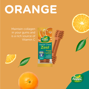 Happi Doggy Zest Regular 4-Inch Dental Chew 25g | Dog Treats Strawberry Mint Apple Milk Orange Avocado | Now Happi Skippi