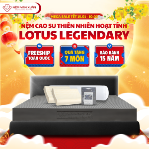 [MEGA TẾT 15.01-10.02 - MUA 1 TẶNG 7] Nệm Cao Su Thiên Nhiên Hoạt Tính Vạn Xuân Lotus Legendary Êm Ái Đàn Hồi Tự Nhiên Thành Phần Than Hoạt Tính Giúp Nệm Có Độ Thoáng Mát Tối Ưu Kháng Khuẩn Kháng Nấm Mốc Kháng Côn Trùng Và Khử Mùi Hiệu Quả