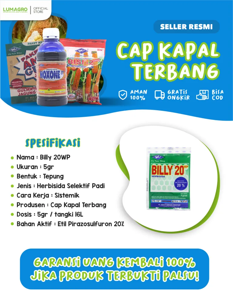 Buzuq ayolni kamsitish pornosi