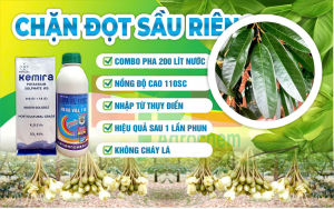 (500gam) Phân bón lá KEMIRA 500gam - KALI TRẮNG không gây cháy lá - chặn đọt sầu riêng bằng kali