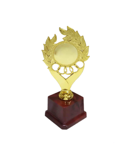 Aktive Trophy New Design for Competition Award 21CM