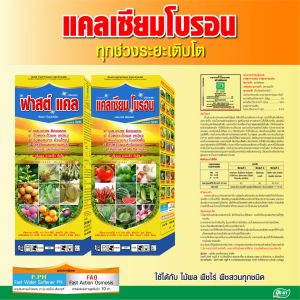 แคลเซียมโบรอน ขั้วเหนียว ผสมเกสร ป้องกันผลแตก ใช้ได้กับทุกพืช ฮอร์โมนพืช อาหารเสริมพืช ปุ๋ยยา 1 ลิตร