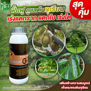 โกรว์รูธ จี-วัน น้ำยาเร่งรากต้นทุเรียน แบบผงไม่ต้องผสมเยอะใช้คุ้ม สารสกัดสูตรเข้มข้น Growroot G1 เร่งใบ กระตุ้นการแตกใบอ่อน แช่เมล็ดเร่งรากได้ดี