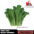 Fresh Sawi Hijau 300gram Pack Fresh Vegetables. 