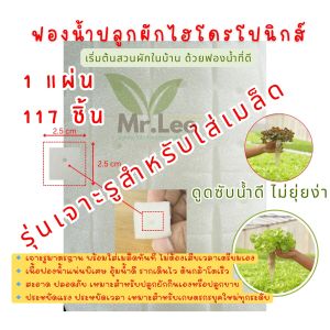 1 แผ่น 117 ชิ้น( แพ็ค50 )ฟองน้ำปลูกผักไฮโดรโปนิกส์ รุ่นเจาะรูมาตรฐาน  พร้อมใช้งาน พร้อมใส่เมล็ดทันที