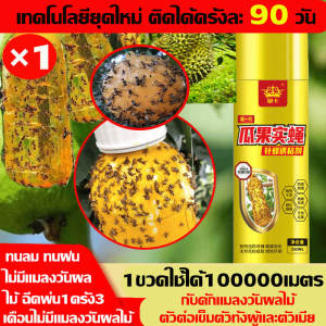 ฉีด1ครั้ง ล่อแมลงวันต่อเนื่อง6เดือน สารล่อแมลงวันทอง สเปรย์กาว อัพเกรดสูตรใหม่ สเปรย์ดักแมลงวันทอง สเปรย์กาวกำจัดแมลงวันทอง ติดแน่น หนีไม่พ้น สารล่อแมลงทอง ดึงดูดแมลงวันผลไม้ได้100% ไม่กลัวตากแดดหรือฝน ยาล่อแมลงวันทอง ยากำจัดแมลงวันทอง น้ำยาล่อแมลงวันทอง