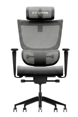 ErgoTune Supreme V3 / V2.1 Ergonomic Chair - Perfect for Home Office Chair | Lumbar Support | Headrest Included | Rated #1 Chair in Singapore