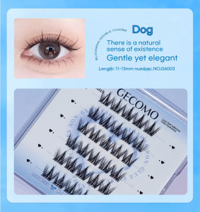 Glue-free False Eyelashes Self-adhesive Eyelash Grafting for Beginners Natural Eyelash Extensions Thicken Curl Lazy Single Cluster Eyelash Reusable First Choice for Beginners