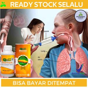 Obat Asma Obat Sesak Napas Obat Untuk Asma Sesak Nafas Obat Asma Anak Dan Dewasa Obat Asam Alergi Obat Sesak Napas Obat Batuk Obat Gangguan Sistem Pernapasan Obat Paru-Paru Meradang Dan Tersumbat Dengan QNC Jelly Gamat (Obat Bukan Inhaler)