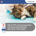 Paws Dr Pet Antiseptic and Antifungal Spray for Cats and Dogs. 