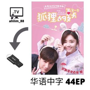 USB China Drama 2 in 1 狐狸的夏天1、2季 + 以家人之名 华语中字 Chinese subtitle 大陆剧 谭松韵