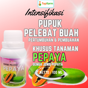 Pupuk Pembesar Buah / Pupuk Khusus Pepaya / Pupuk Buah Pepaya Super Lebat / Pupuk Untuk Pelebat Buah Pepaya / Pupuk Pepaya California