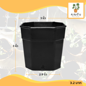 กระถาง กระถางแคคตัส กระถางแปดเหลี่ยม 3 นิ้ว สีดำ Bundle 100 ใบ ชิ้น อัน