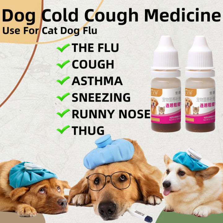 Medicine for runny top nose for dogs