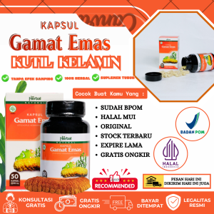 Kapsul Gamat Emas Original Esktrak Terimang Emas Tanpa Efek Samping BPOM & Halal MUI