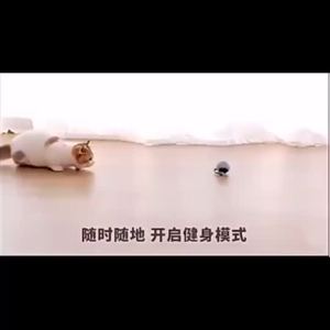 1PcPetCatSmartRotationBall/AutomaticallyAvoidObstaclesUSBRechargeableLuminousLEDSelfRotatingToys/Pet