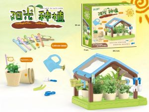 [SG Stock] Sunshine Planting House Childrens Plant Flower House Observation Toy Handmade DIY Scientific Experiment Set