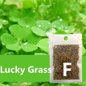 Easy Growing Aquarium Mini Leaf Grass Aquarium Foreground GrassAquatic Plant Decor Water Grass for Aquarium and Fish Tank Aquarium Landscaping Decoration
