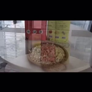 NEW LOOK EMILY S 1kg Kusot for Hamster Premium Wood Shavings Compressed Shaving for Hamster