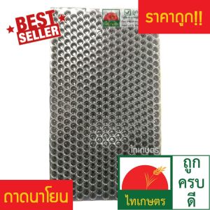 ถาดเพาะกล้านาโยน ถาดเพาะข้าว ถาดเพาะชํา ถาดเพาะเมล็ด (แพค20ใบ) ชนิด 434หลุม ตราไทเกษตร