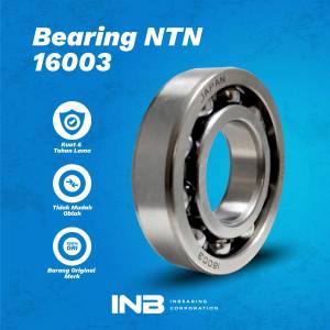 Laker Bearing 16003 NTN Bearing Stud Kopling Tiger Gl Pro INB Original NTN