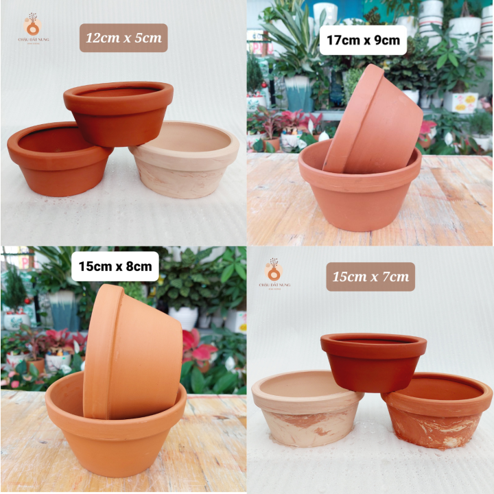 Chậu đất nung - Cái thau phổ biến nhất, đủ kích thước từ nhỏ đến lớn ...