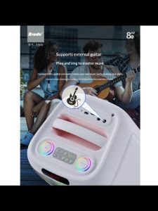BTS-2800 8 inches Bluetooth speaker comes with dual microphones