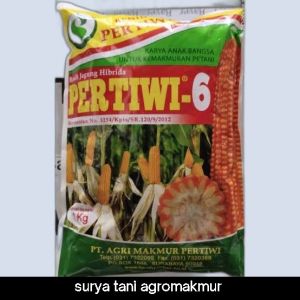 BENIH JAGUNG PERTIWI 6 1KG