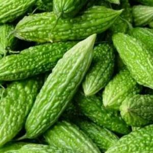 Ufairah Benih Sayur Pare Mudah Tumbuh