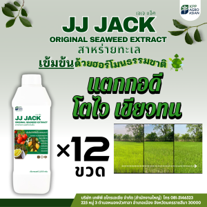 JJ JACK 12 ขวด ฮอร์โมนพืช  ช่วยเร่งใบ เร่งดอก เร่งผล บำรุง ฟื้นฟูต้น แตกราก แตกดอก แข็งแรง