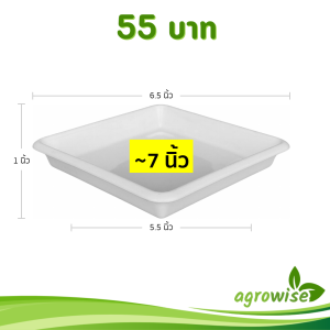กระถาง กระถางต้นไม้ กระถางสี่เหลี่ยม ขนาด เบอร์ 7 6.9 นิ้ว สีขาว 5 ใบ ชิ้น อัน