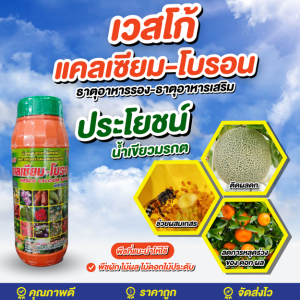 เวสโก้ แคลเซียม-โบรอน (Ca9%+B0.2%) สูตรน้ำเขียวมรกต ขนาด 1 ลิตร #เวสโก้ #เพิ่มปริมาณดอก #ติดผลดก#ขั้วเหนียว#ลดการหลุดร่วง