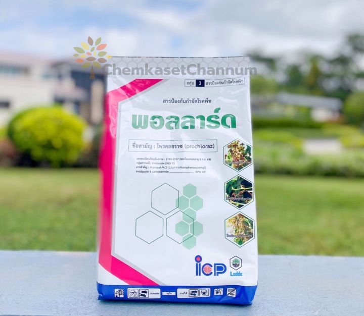 พอลลาร์ด โพรคลอราซ 50% WP กำจัดโรคเกสรดำกล้วยไม้