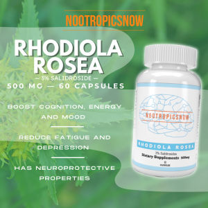 Rhodiola Rosea 500 mg 3% Salidroside (60 capsules 60 servings) Nootropic Brain Booster Energy Mood Depression Motivation Anxiety Stress Supplement