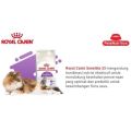 Royal Canin SENSIBLE 400gr Dry Cat Food Makanan Kucing Dewasa Diare Sistem Pencernaan Anti Mencret. 