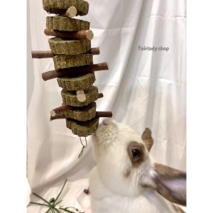 Pet molar grass stick cake ❤️ organic apple wood branch stick natural timothy rabbit guinea pig chinchilla hamster 宠物磨牙棒
