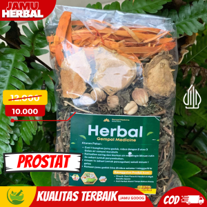 JAMU GODOK PROSTAT OBAT HERBAL TRADISIONAL AMPUH