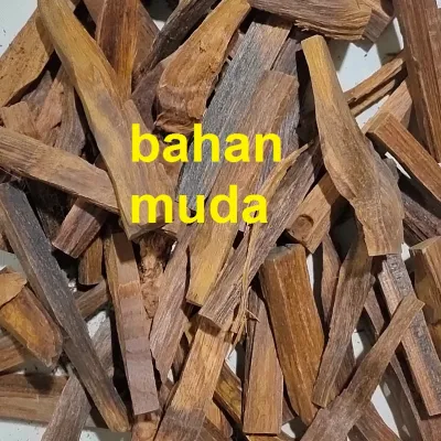 kayu gaharu stik kualitas super grade A aquilaria malaccensis original kalimantan 10gram 100% natural