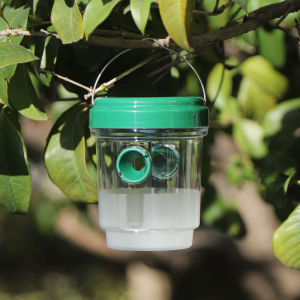 Green Solar Flies Fruit Fly Trap Rainproof Bee Trap Fruit Fly Trap Gardens Pest Control Tool