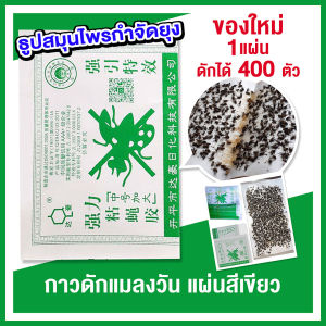 100 แผ่น กาวดักแมลงวัน กาวเต็มแผ่น เหนียวดี กาวเยอะ มีสารล่อแมลง สีเขียว ราคาถูก