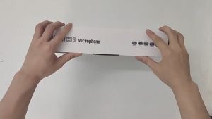 YF-002 Wireless microphone microphone charging home audio amplifier sound system KTV live broadc