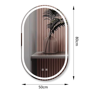Smart LED Bathroom Mirror Tricolor Light Oval Makeup Mirror Bathroom Wall Mounted Full Body Mirror with Stepless Dimming Function