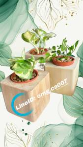 กระถางต้นไม้ จิ๋ว (เฉพาะกระถางเท่านั้น) 7x7x7.5cm