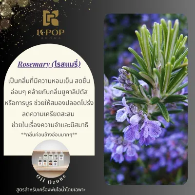 |K-Pop Aroma| Oil Ozone น้ำมันหอมระเหย Oil Ozone ซื้อ 6 ฟรี 1 สำหรับเครื่องพ่นไอน้ำอโรม่า💦ไม่มีแอลกอฮอล์ น้ำหอมใส่เครื่องพ่นไอน้ำโดยเฉพาะ