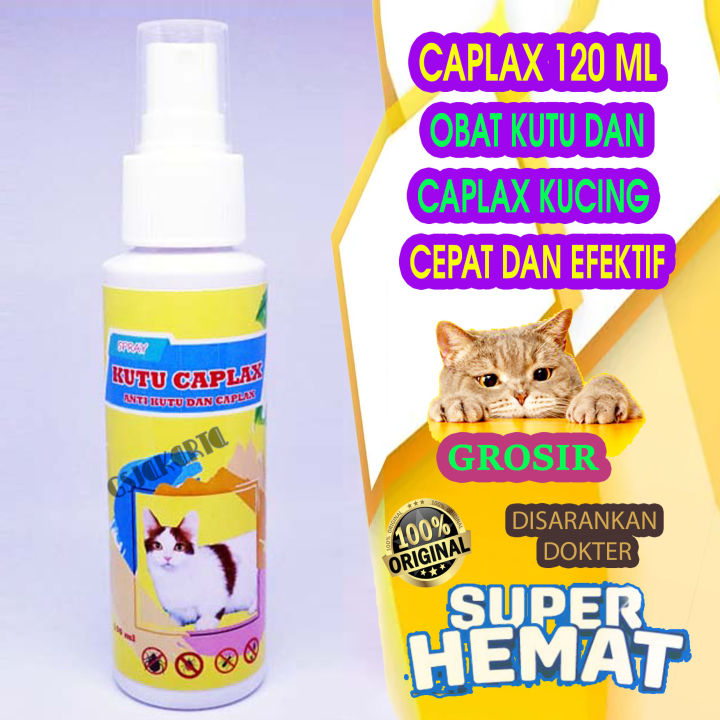 Yoshlar uchun ajoyib rus porno videolar