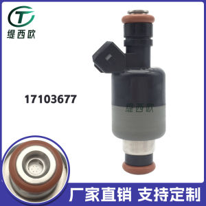 Applicable to DAYU FOOD   Opel CIELO /CORSA 1.5  Nozzle  17103677  17109450